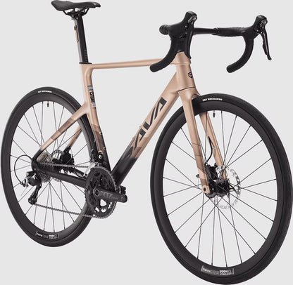 LEVAR 2.0 52 S CHAMPAGNE/ORANGE