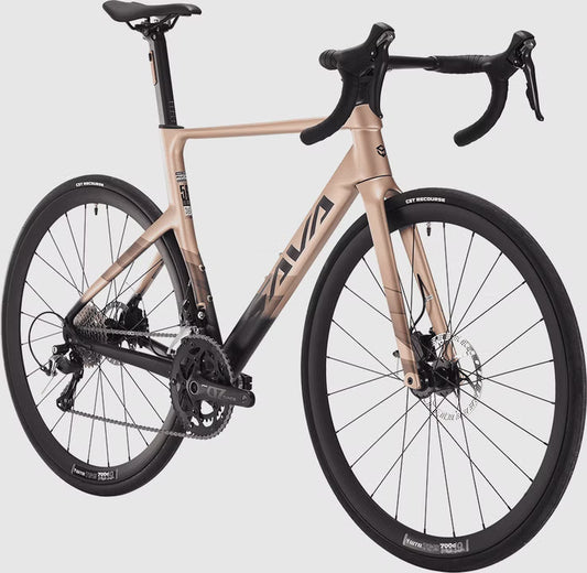 LEVAR 2.0 52 S CHAMPAGNE/ORANGE