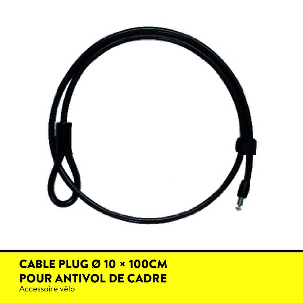 CABLE ANTIVOL PLUG-IN AUVRAY