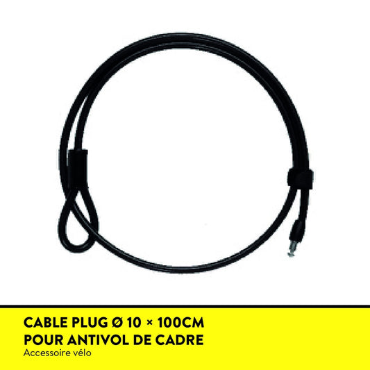 CABLE ANTIVOL PLUG-IN AUVRAY