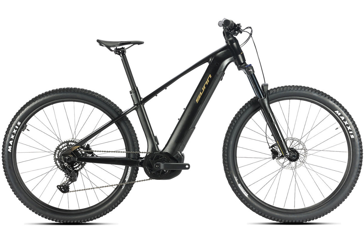 RAGE S2 E-Bike 29"