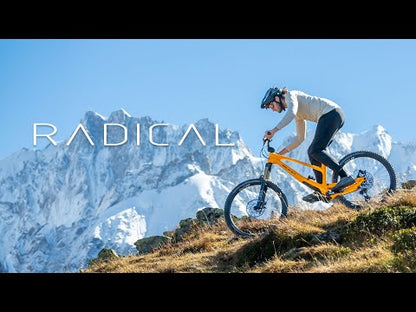 RADICAL FACTORY