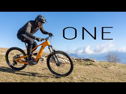 ONE FACTORY S1 E-Enduro Full Carbon